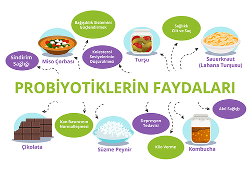 Probiyotikler Probiyotiklerin Faydası